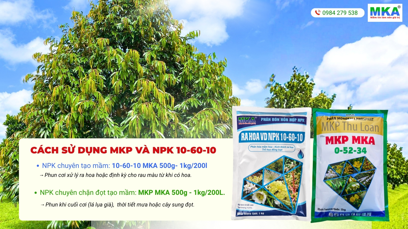 hướng dẫn kỹ thuật sử dụng MKP và NPK lân cao 10-60-10